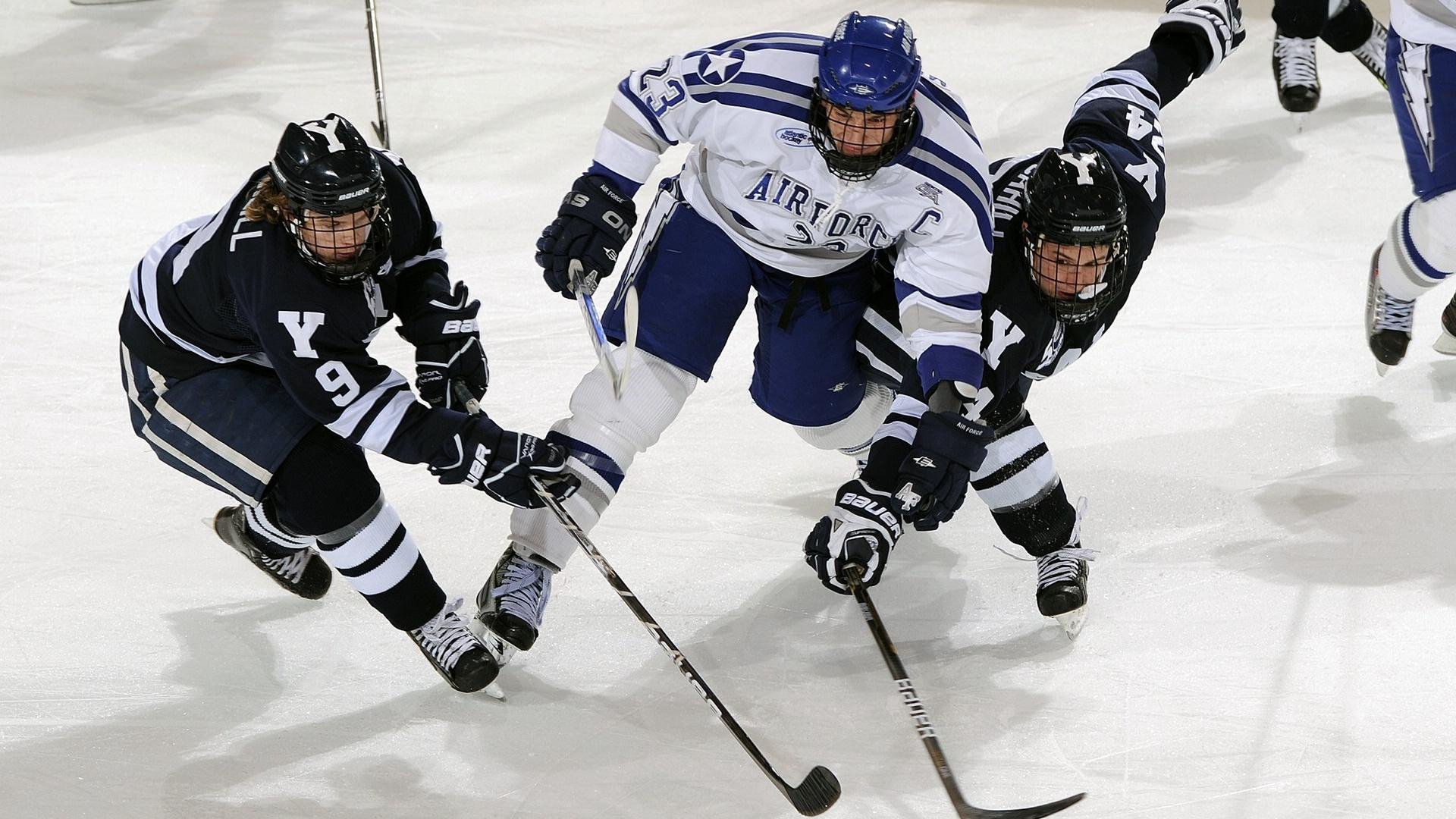 公牛继续稳健发挥，重回季后赛行列，公牛新赛季五巨头