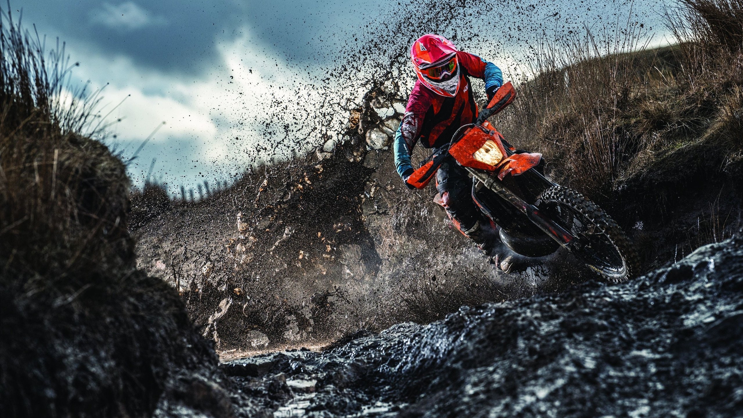 公牛调整战术结构，整体进攻更具威胁，公牛最强